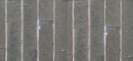 Screenshot 2024-02-25 alle 22.06.00.png