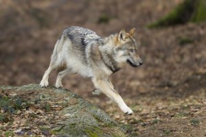 HB 20240225_MG_0447_DxO-Bearbeitet.JPG