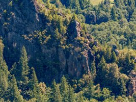 _1050314-Enhanced-NR-Edit.jpg _1050314-Enhanced-NR-Edit.jpg