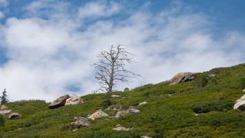 PICT0006-Edit.jpg PICT0006-Edit.jpg