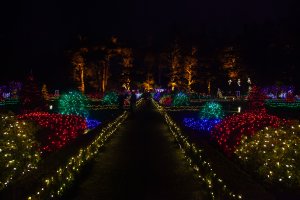 IMG_0804-Enhanced-NR.jpg IMG_0804-Enhanced-NR.jpg