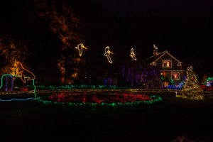 IMG_0797-Enhanced-NR.jpg IMG_0797-Enhanced-NR.jpg