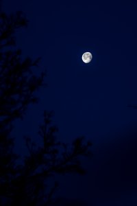 EOS R5_4900-Enhanced-NR.jpg