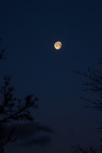 EOS R5_4902-Enhanced-NR.jpg