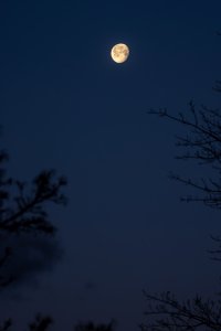 EOS R5_4903-Enhanced-NR.jpg