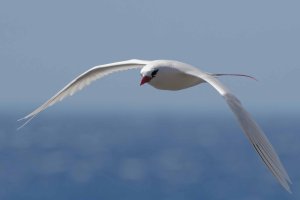 DSC_1396_DxO.jpg DSC_1396_DxO.jpg