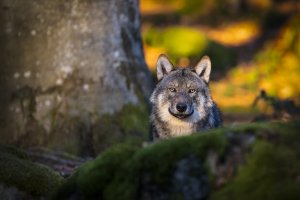 HB 20240225_MG_1174_DxO-Bearbeitet.JPG