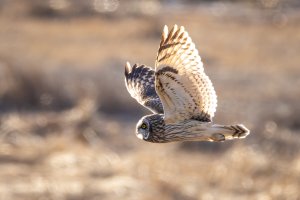 small--44.jpg small--44.jpg