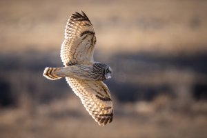 small--46.jpg small--46.jpg