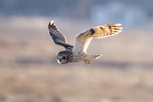 small--10.jpg small--10.jpg