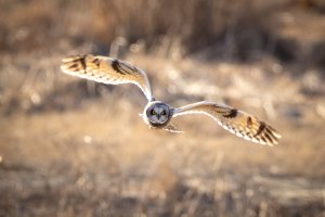 small--45.jpg small--45.jpg