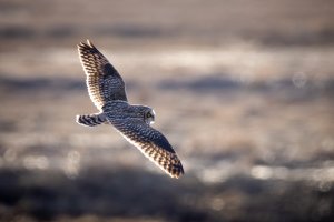 small--30.jpg small--30.jpg