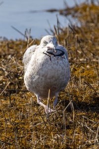 small-1103.jpg small-1103.jpg