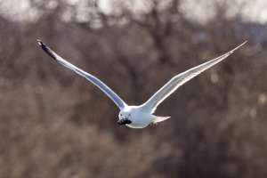 small-1048.jpg small-1048.jpg