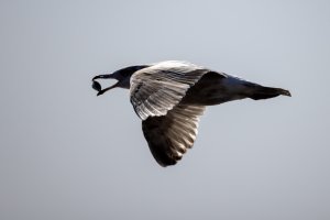 small-1015.jpg small-1015.jpg