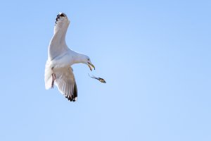 small-0940-2.jpg small-0940-2.jpg