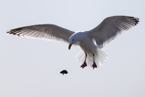 small-1180.jpg small-1180.jpg