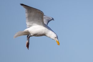 small-1078.jpg small-1078.jpg