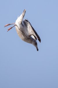 small-1037.jpg small-1037.jpg