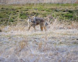 EOS R5_6234-Enhanced-NR-2.jpg