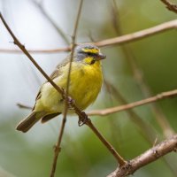 DSC_2306_DxO.jpg DSC_2306_DxO.jpg