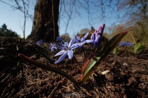 15mmLaowa und Topaz PhotoAI.jpg