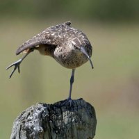 DSC_3378_DxO.jpg DSC_3378_DxO.jpg