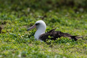 DSC_3452_DxO-1.jpg DSC_3452_DxO-1.jpg