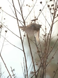 1000041298.jpg 1000041298.jpg