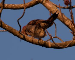 100A9372_DxO_PL7_.jpg 100A9372_DxO_PL7_.jpg