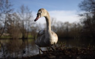 environmental portrait.jpg