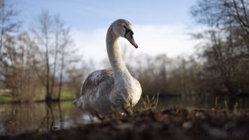 environmental portrait_02.jpg