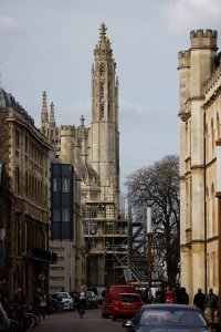 309A1854-DxO_Peregrine_on_Kings_Tower_from_Pitt_200mm small.jpg