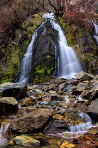 EOS R5_6510-Edit.jpg