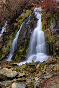 EOS R5_6515-Edit.jpg