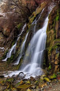 EOS R5_6519-Edit.jpg