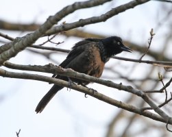 5D3_0969 ps3 fix - Copy.jpg