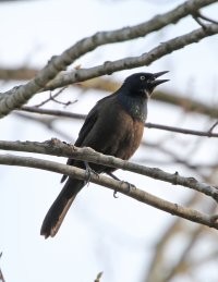 5D3_0960 ps3 fix - Copy.jpg