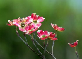 5D3_1588 picasa fix - Copy.JPG