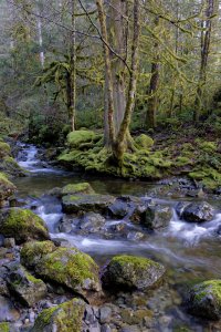 dpc Waterfall 2 copy.jpg