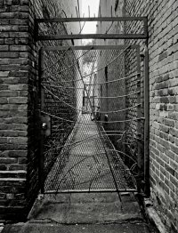 _DSF1663-topaz copy.jpg