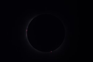 Small-7599.jpg