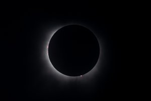 Small-7601.jpg