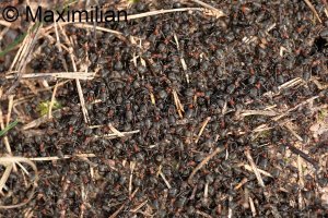 20240302_0008.JPG 20240302_0008.JPG