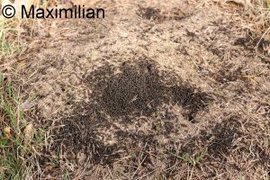 20240302_0009.JPG 20240302_0009.JPG