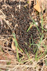 20240302_0010.JPG 20240302_0010.JPG