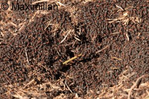 20240303_0001.JPG 20240303_0001.JPG