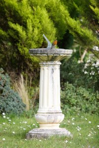 309A4310-DxO_Robin _on_sundial copy.jpg