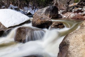 EOS R5_7605-Edit.jpg