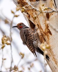 EOS R5_7677-Edit.jpg